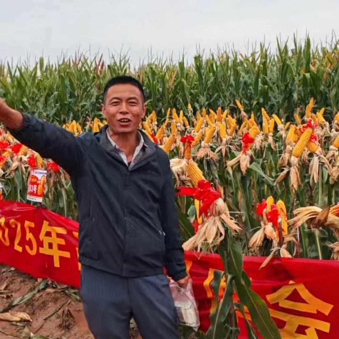 天润林（先丰3）老靳