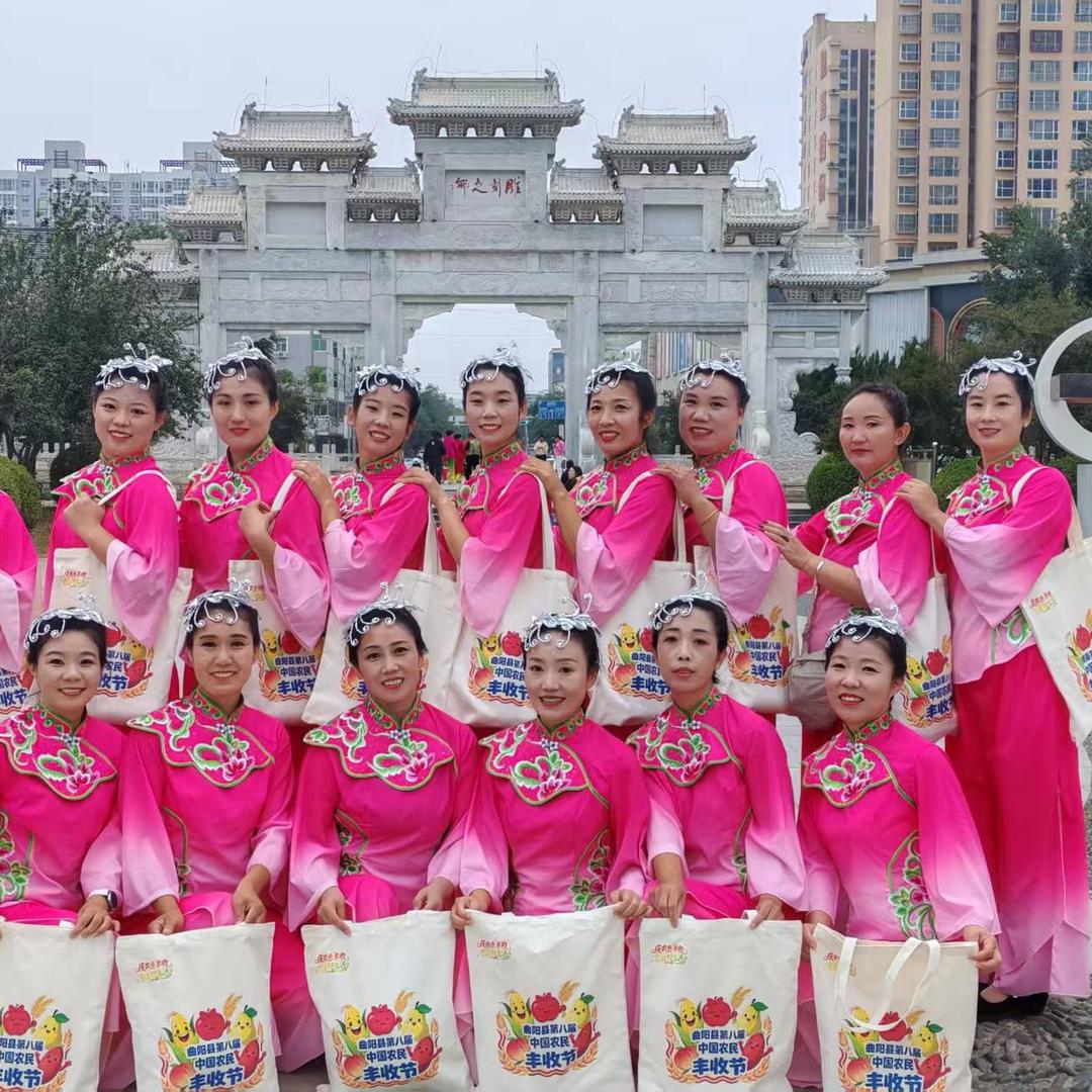 庄伙艺动舞蹈队