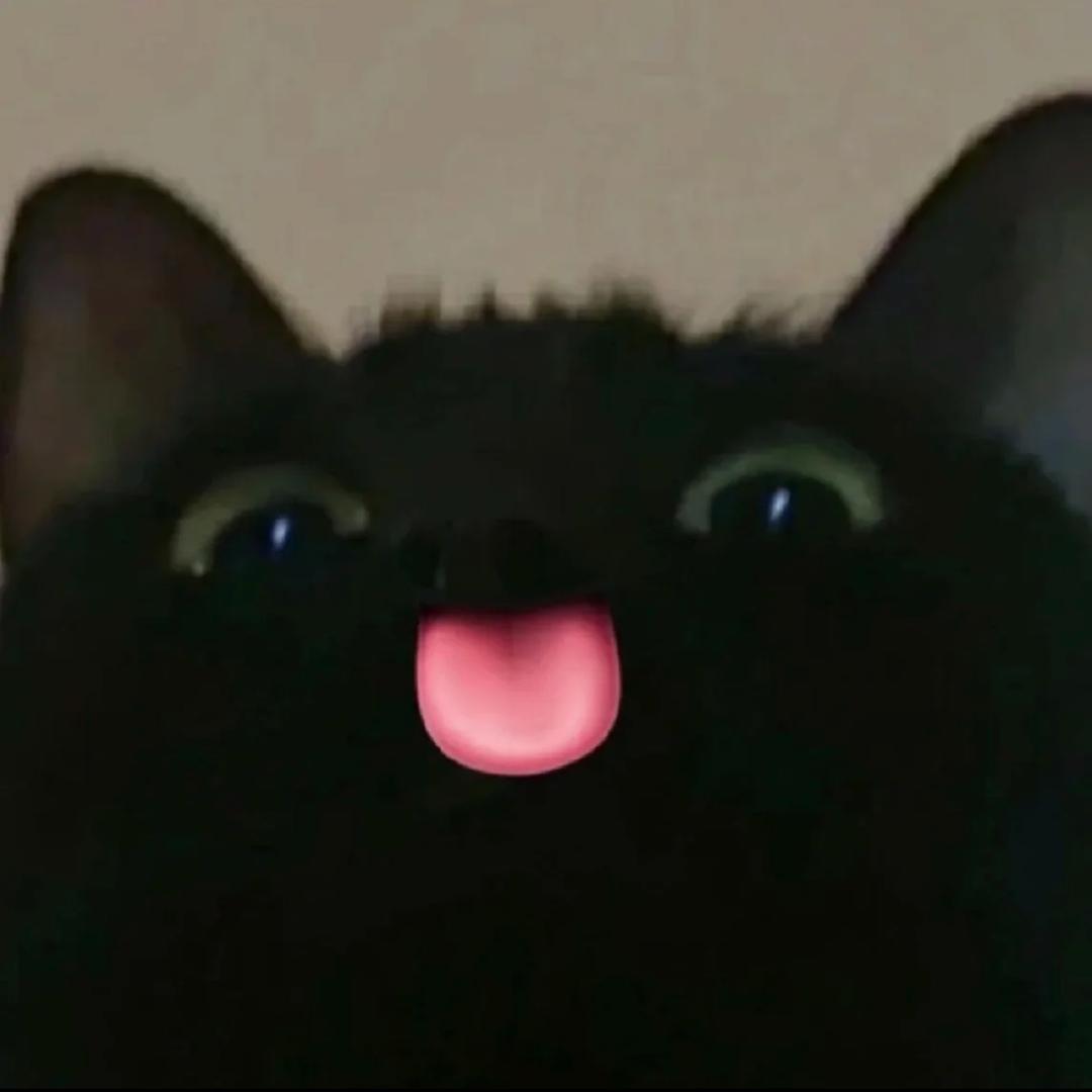 Dyan点