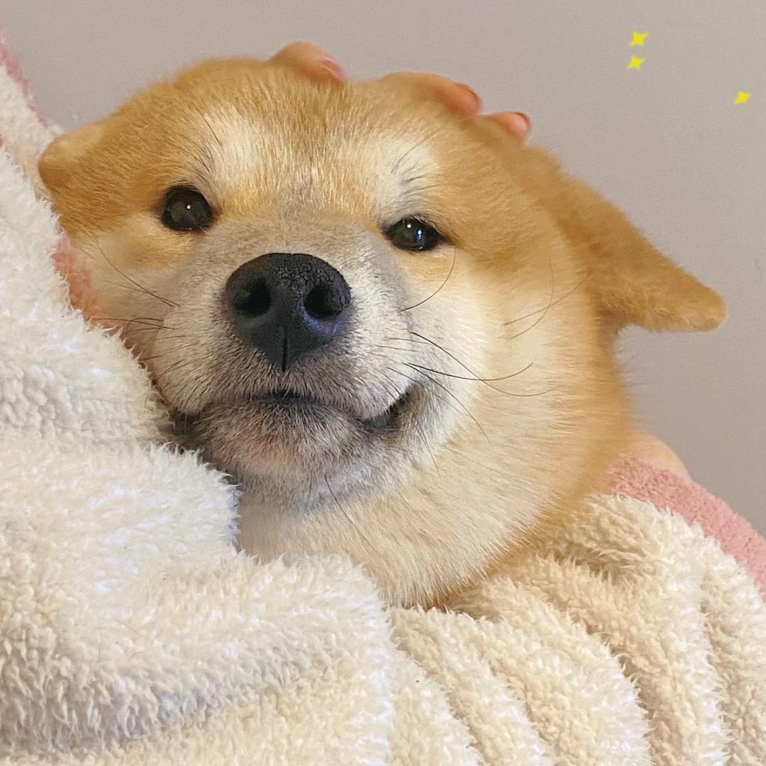 寿司呀～