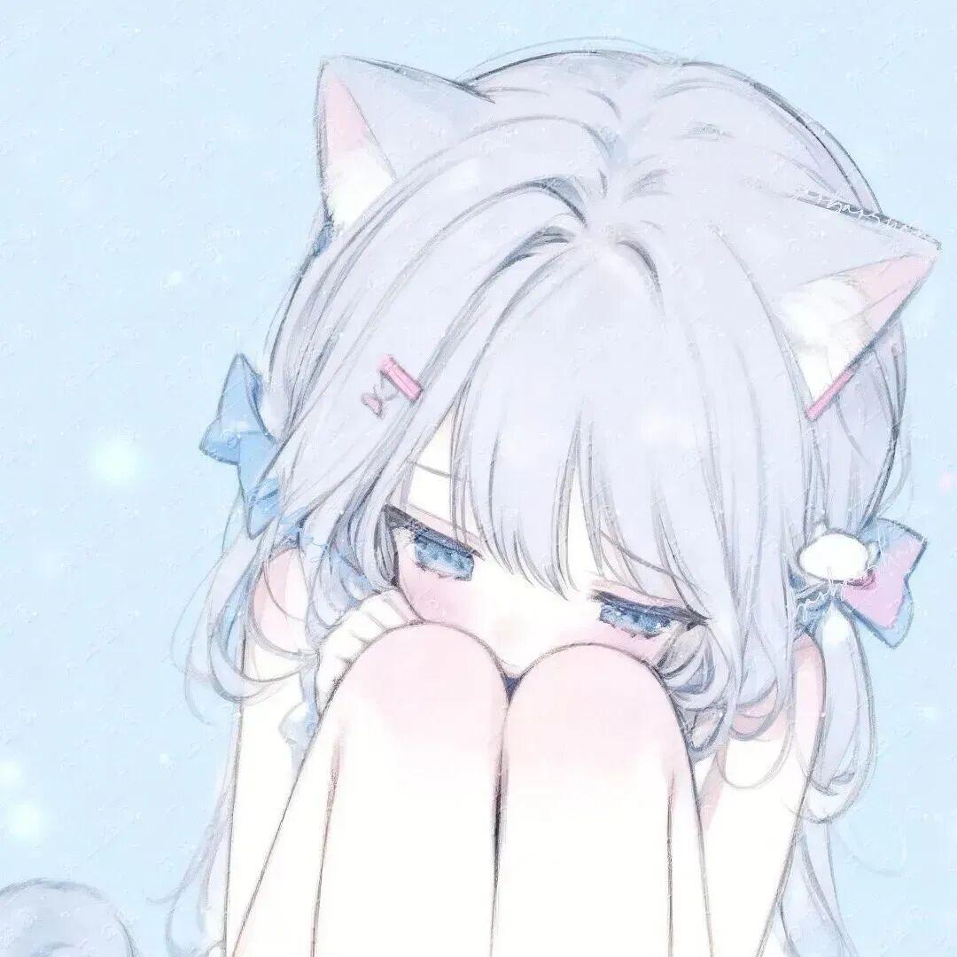 会飞的猫