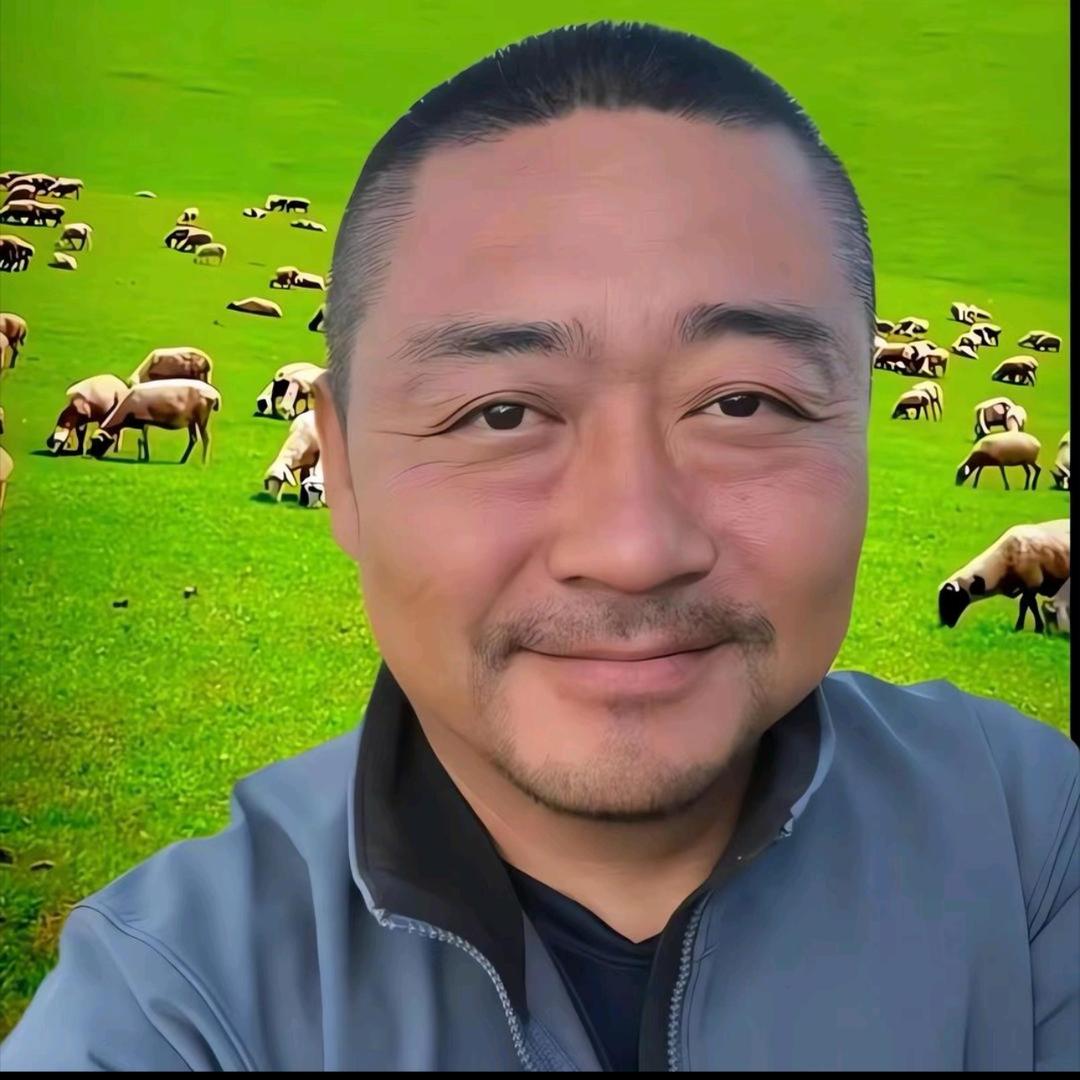 老马草原精选返场