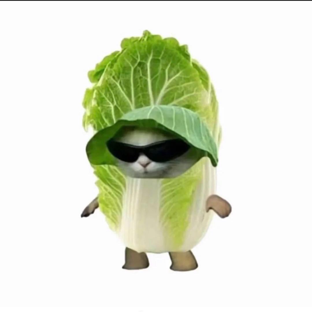 哇哈哈咪咪