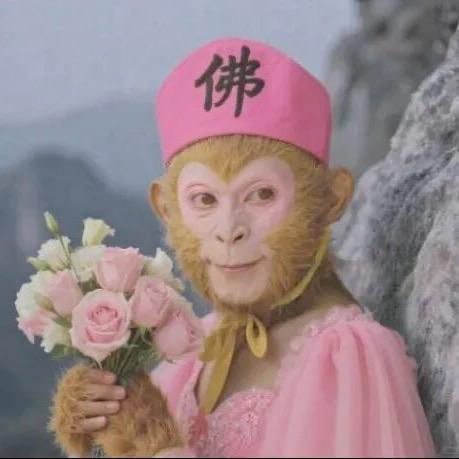 起个名真懒