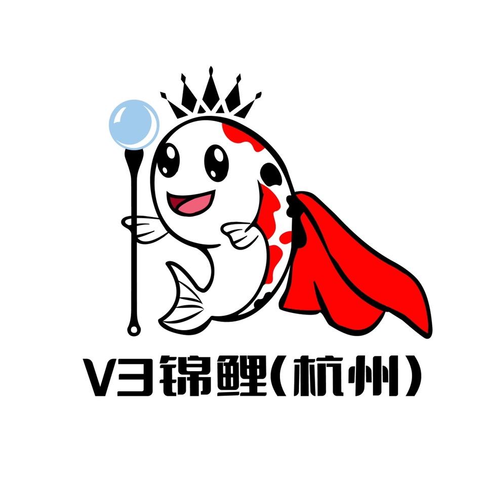 杭州V3锦鲤（总店）