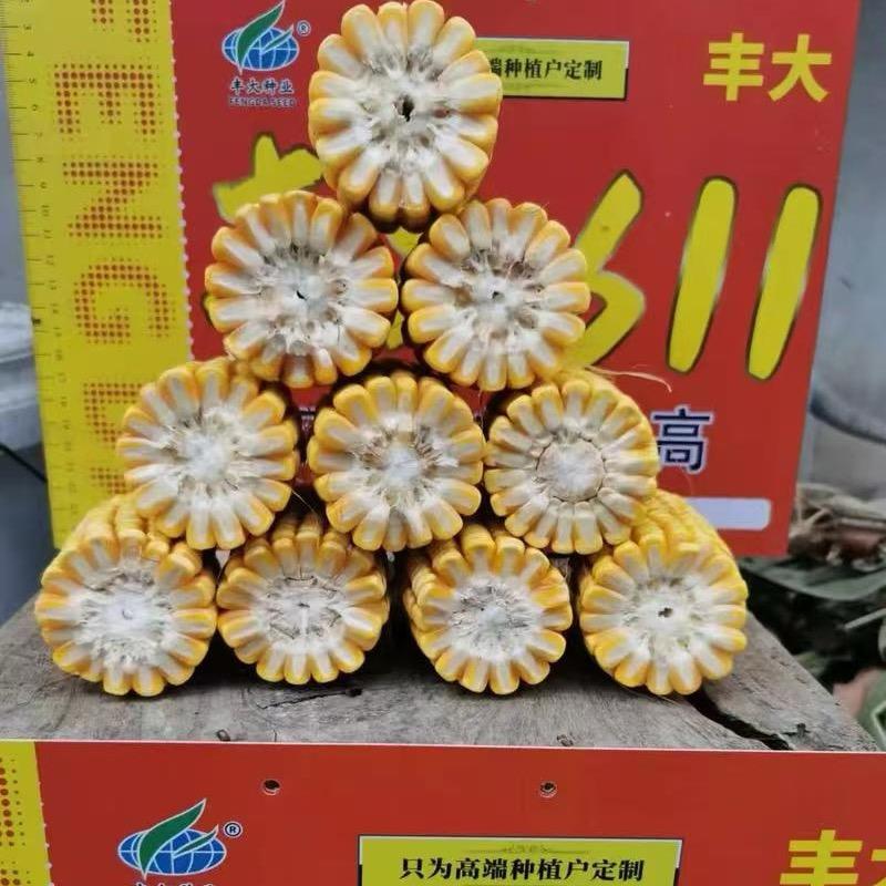 惠丰种业