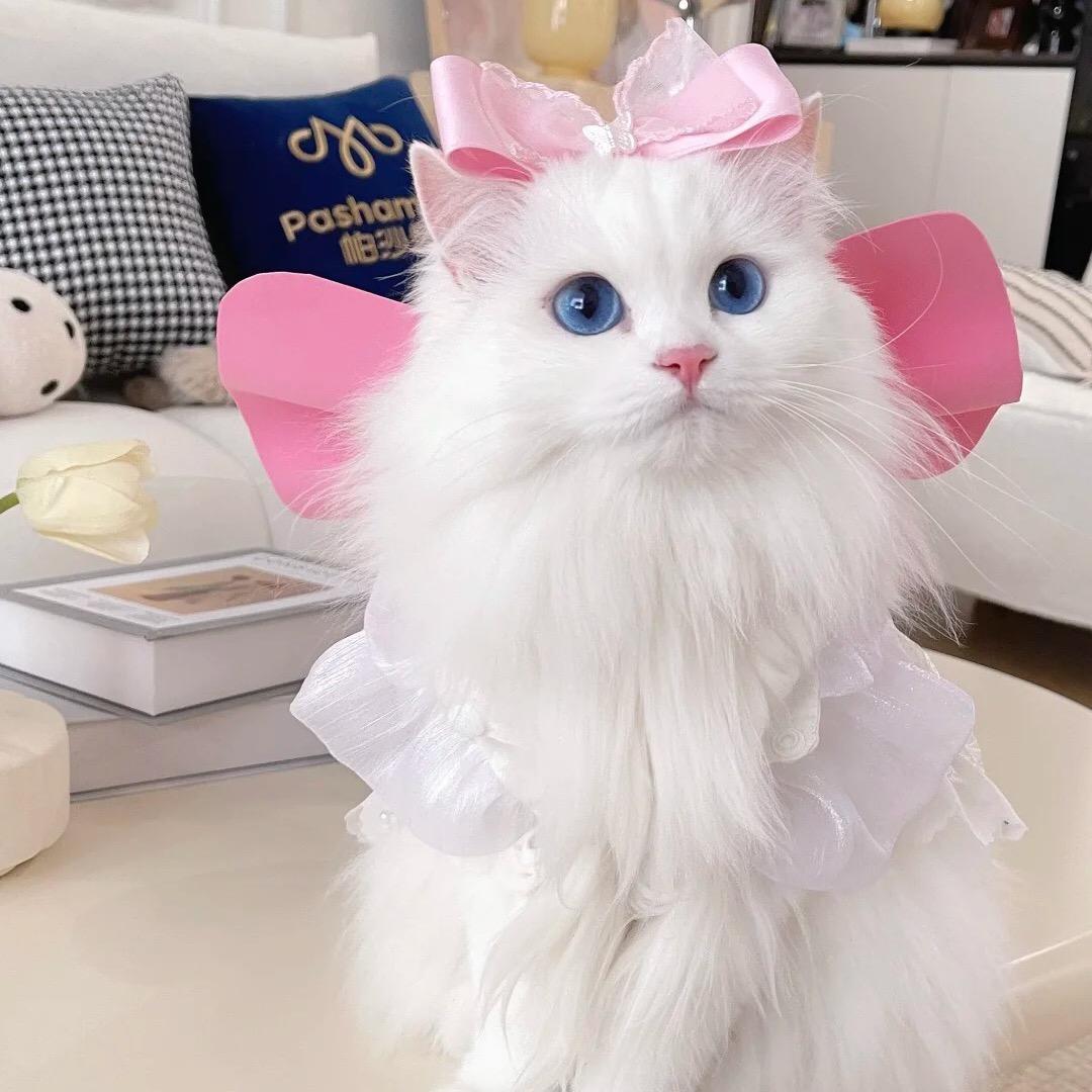 关必回❤️❤️心灵育儿