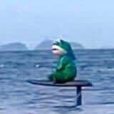 心凉自然静🤦🏻♂️