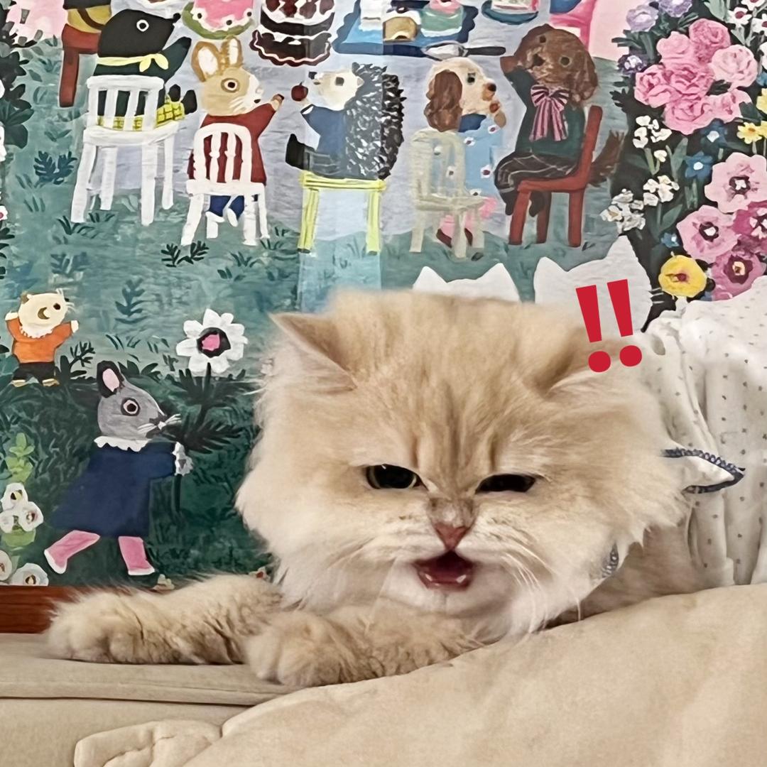 无情的后妈