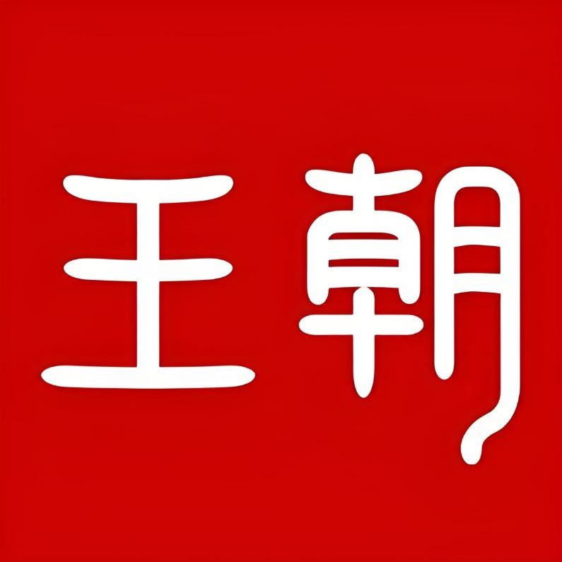 武汉中欣比亚迪-汉