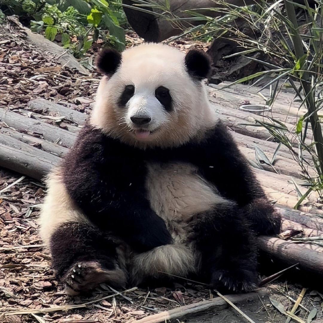 🌈开心一点点