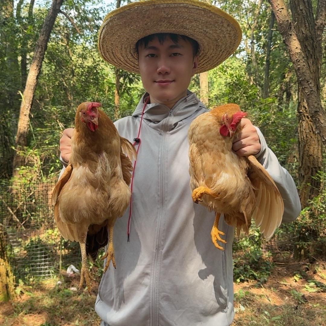 小袁家散养土鸡蛋