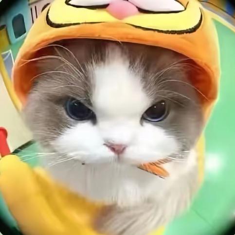 明媚