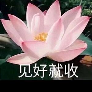 蒜香麻辣大龙虾
