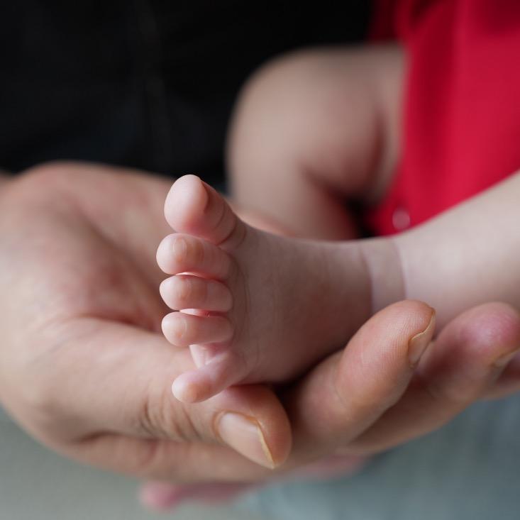 南方姑娘🧪（带娃ing ）