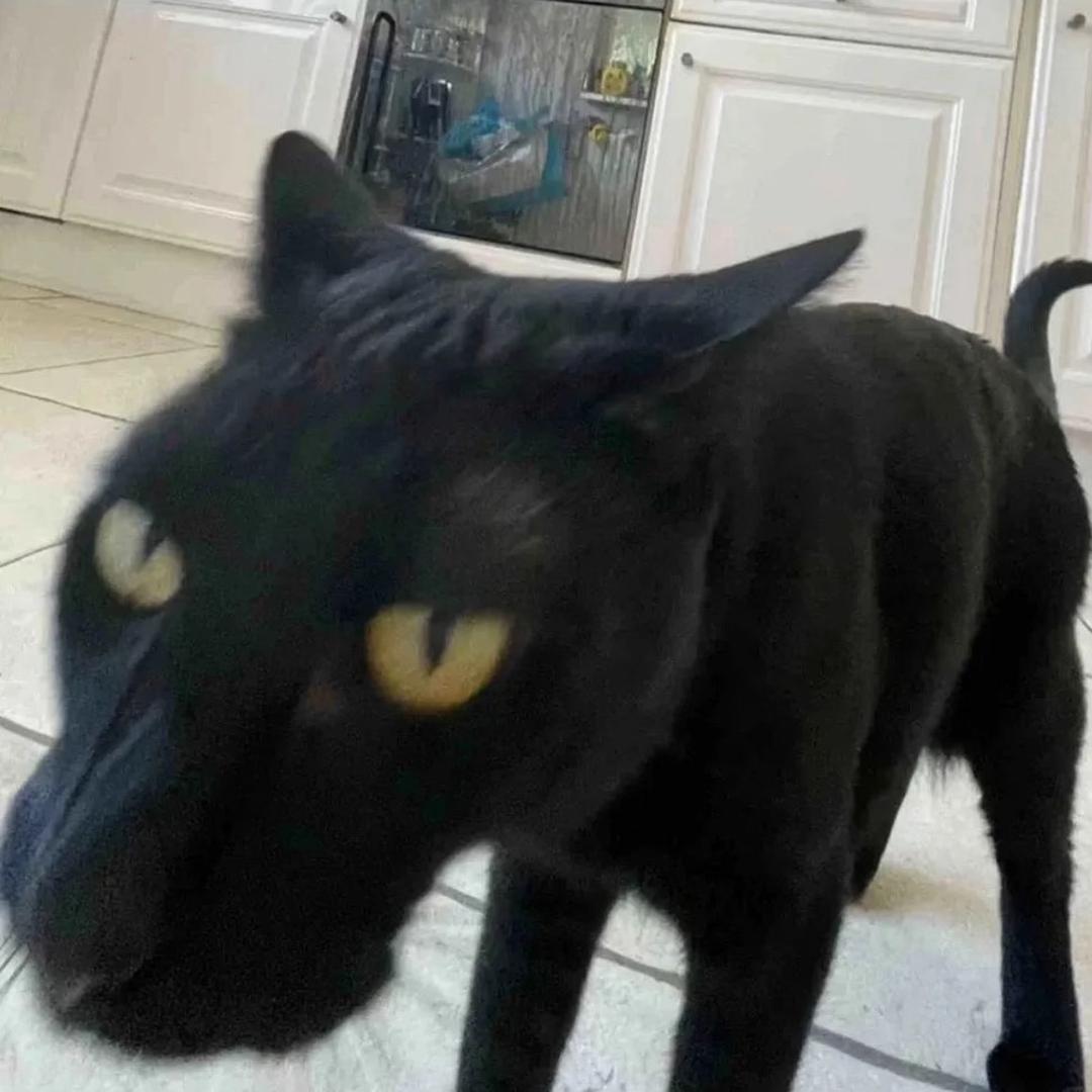 Eeemanon