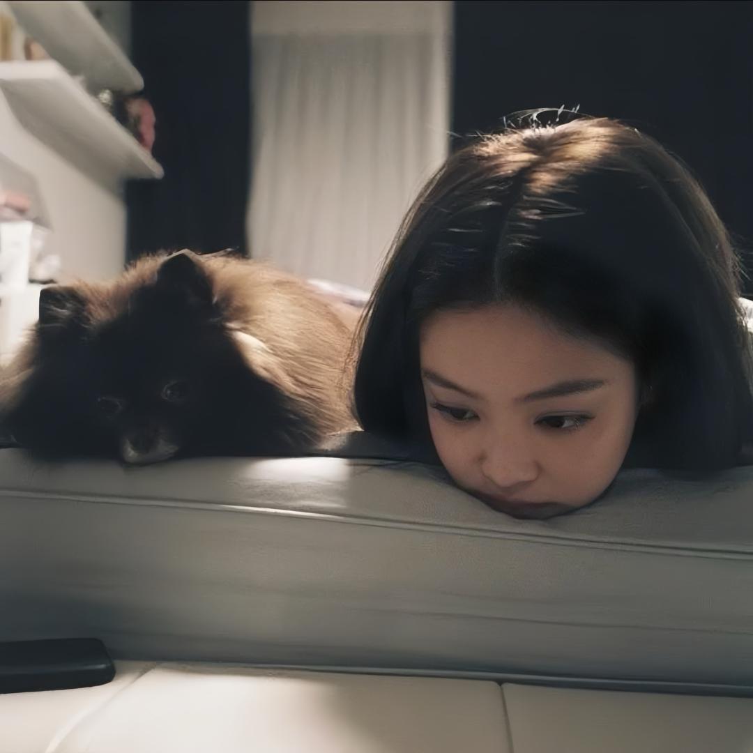 小烤鱼吃猫（上吊版）