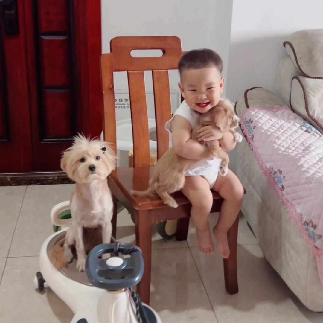小布丁，小小，小福宝！