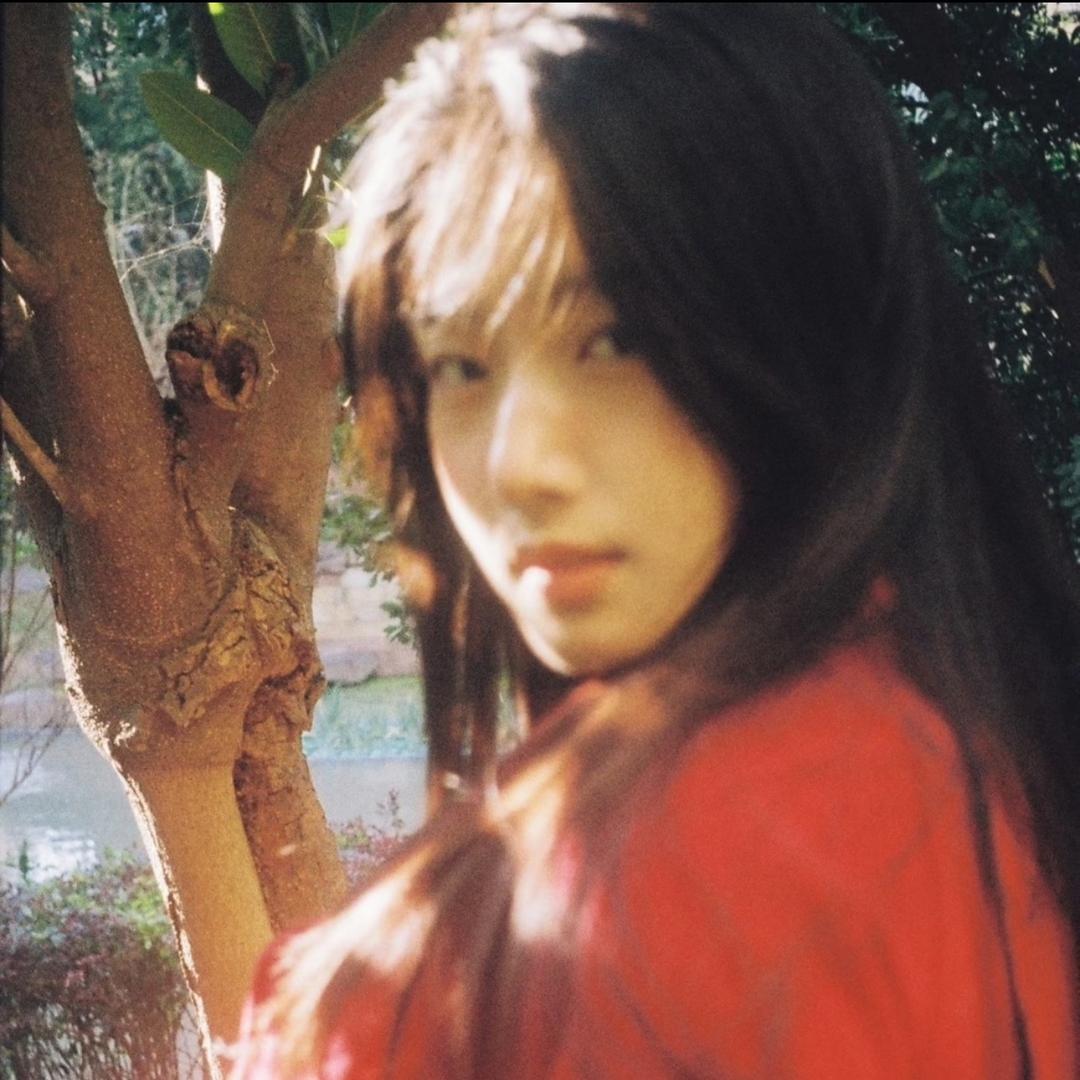 小猪美美
