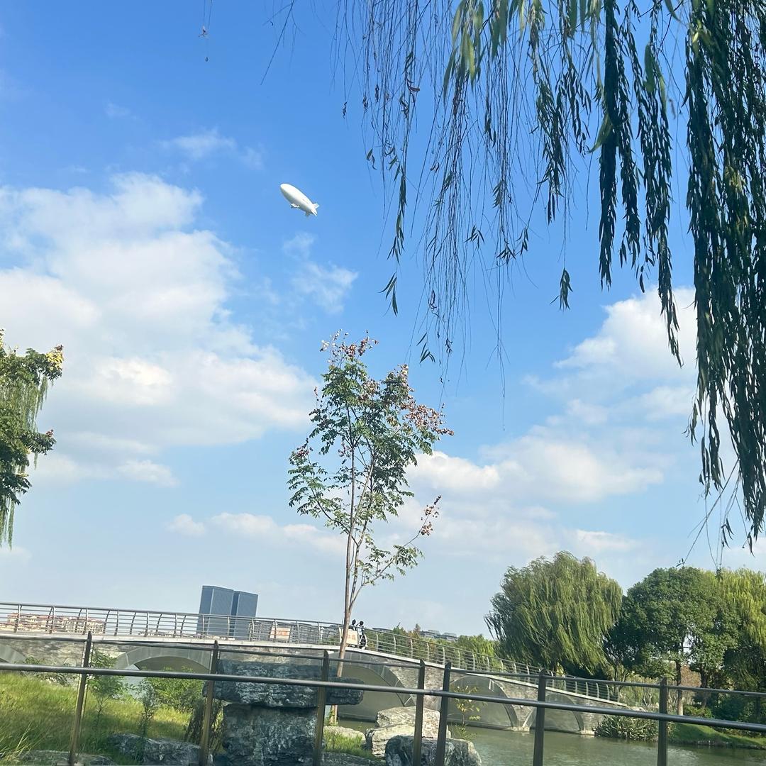 村支芝