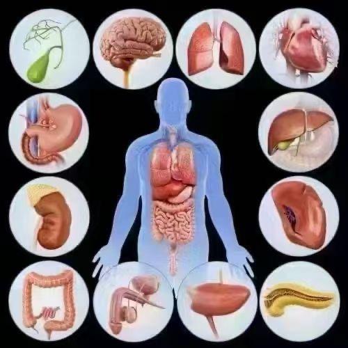 依米然 千枝花健康食品商贸有限公司