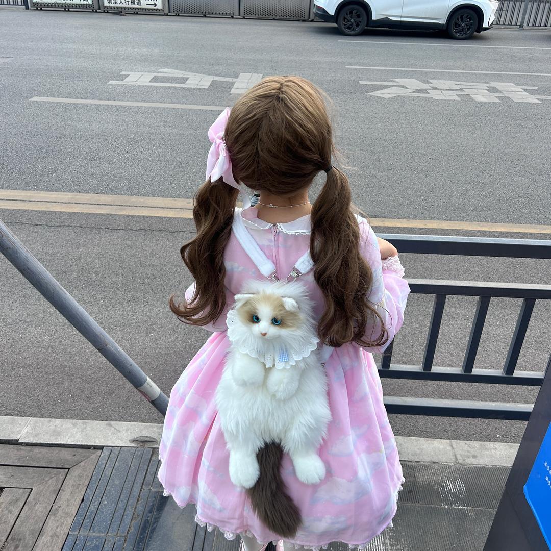 超级无敌暴王龙