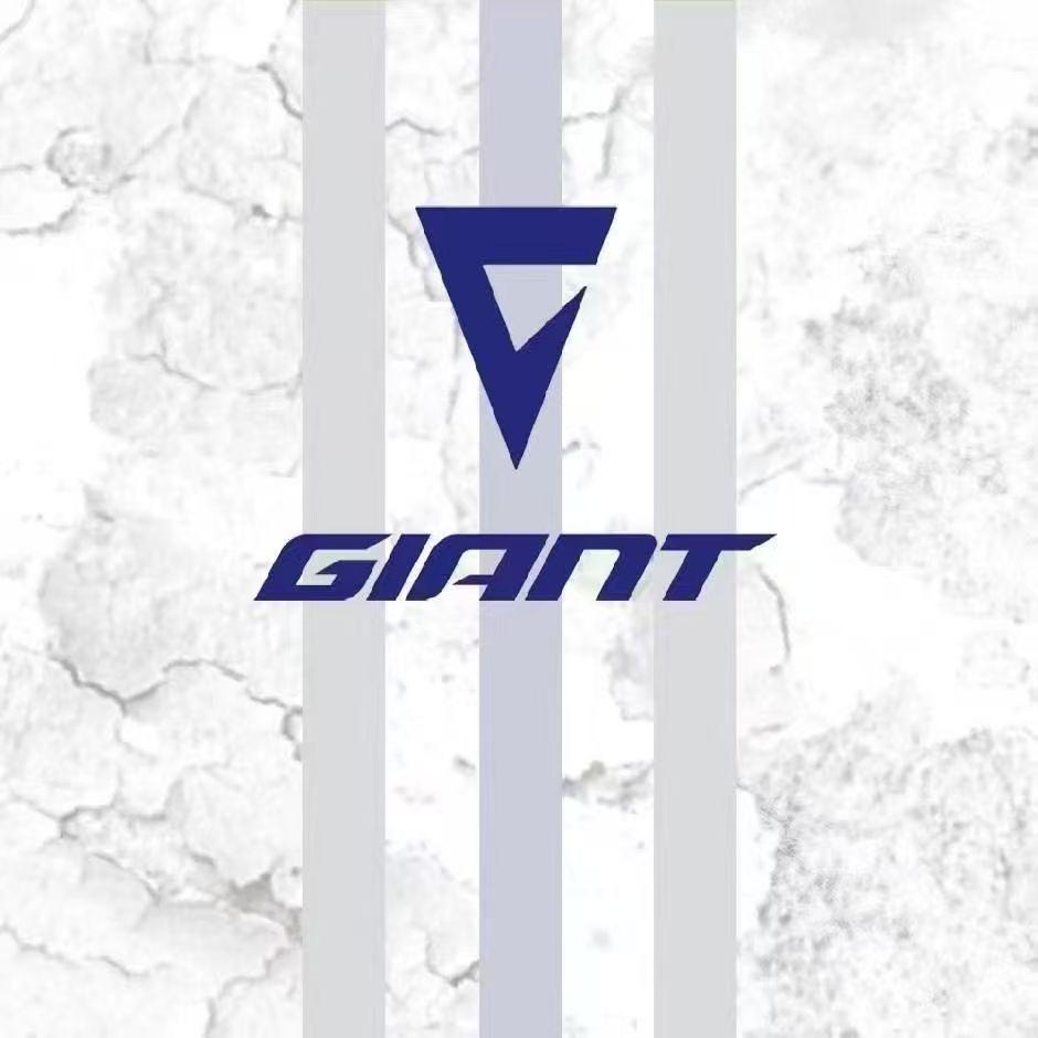 捷安特（景阳广场店））