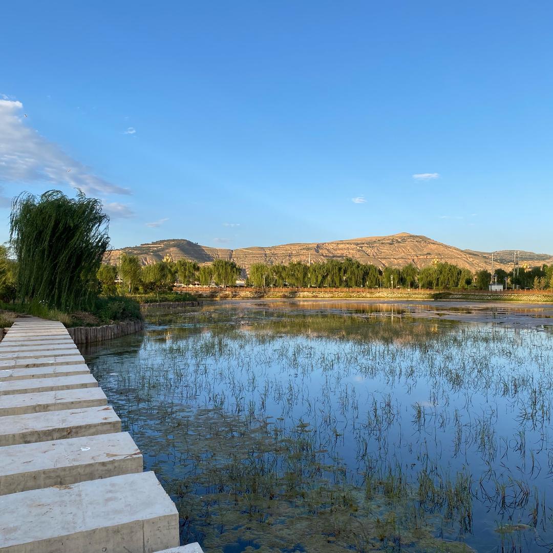 “真心如流水，遇冷石而凝”