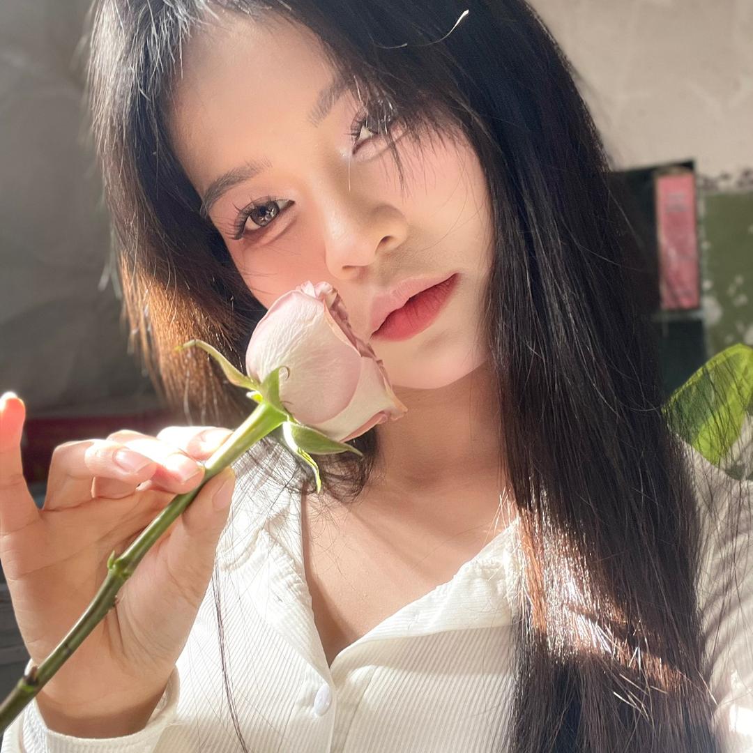 珍星🌸🌸