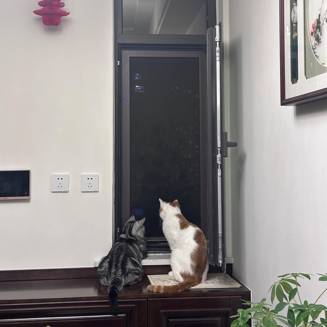 嘿，是圆圆呀～