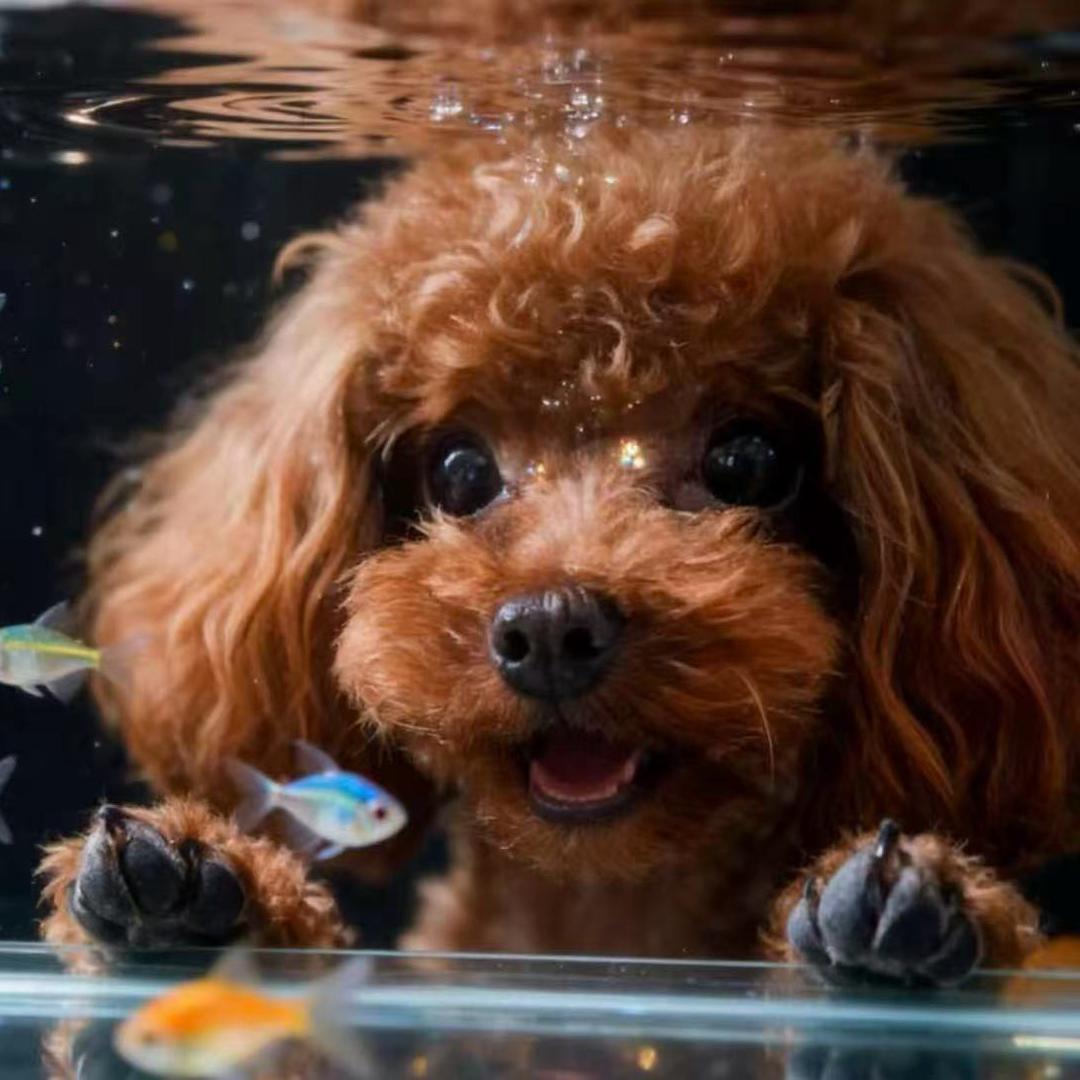 🔮张小欠儿🐏