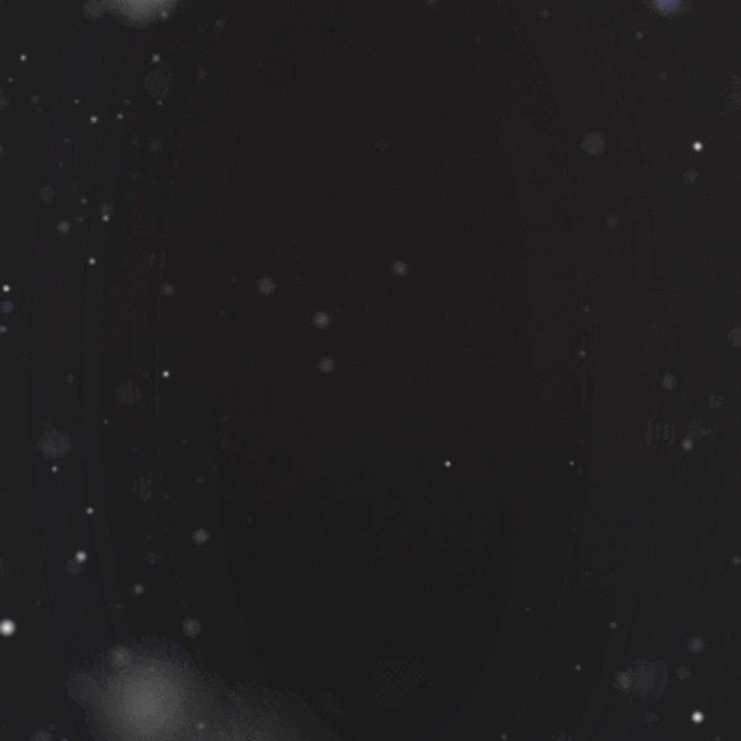 霜华旧客