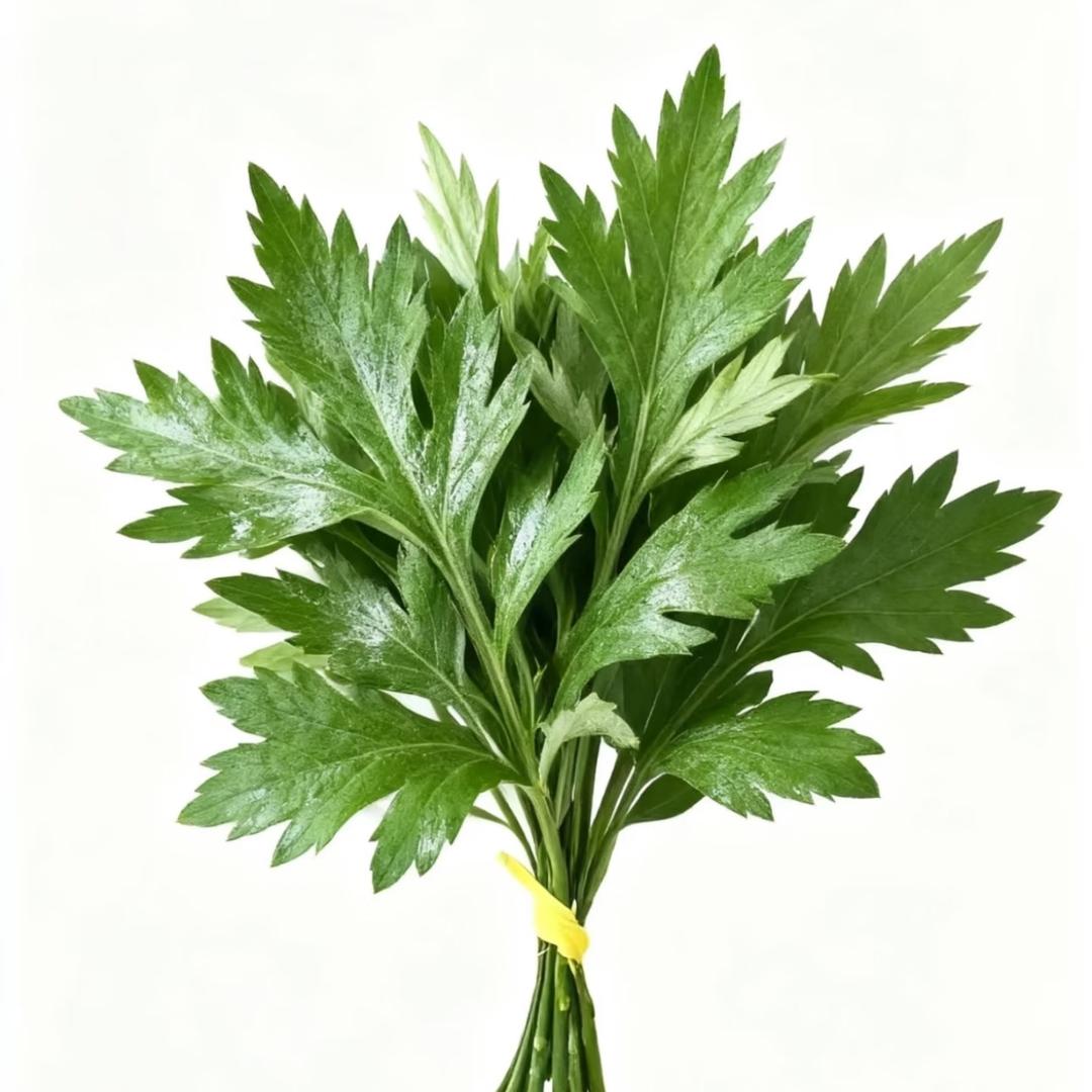 好丽友派（已辞职在家全职照顾手机）