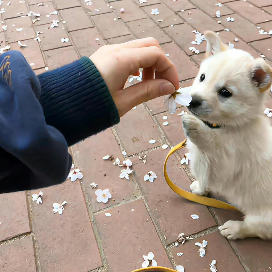 小方不方🐽