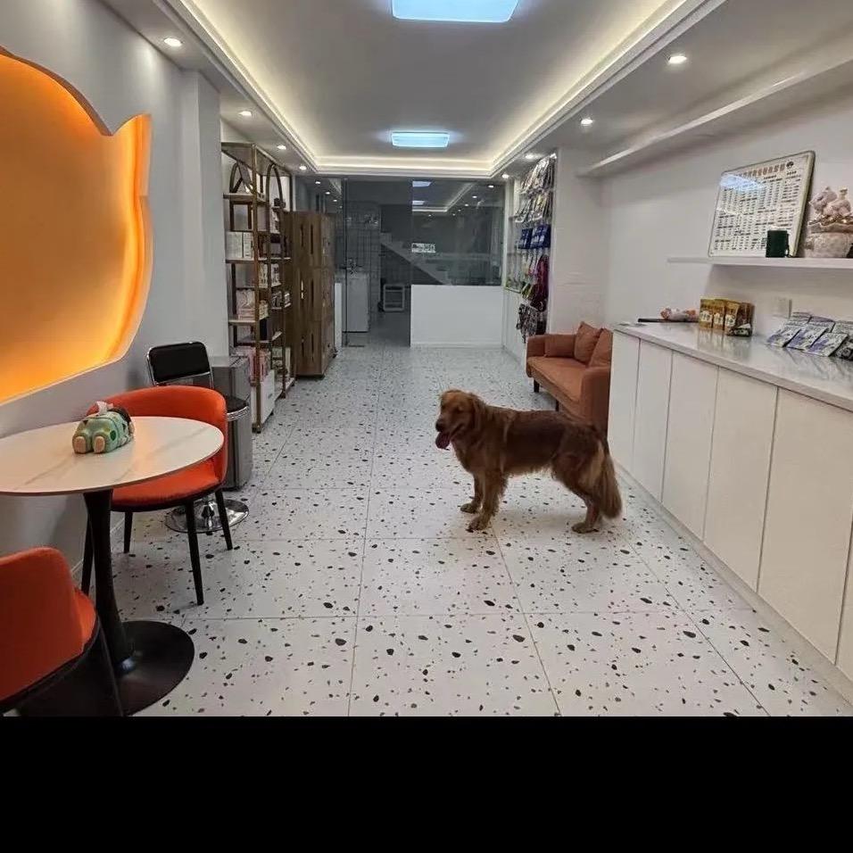 阿猫阿狗宠物生活馆