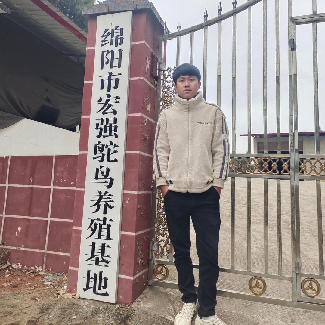 绵阳市游仙区宏强鸵鸟养殖场