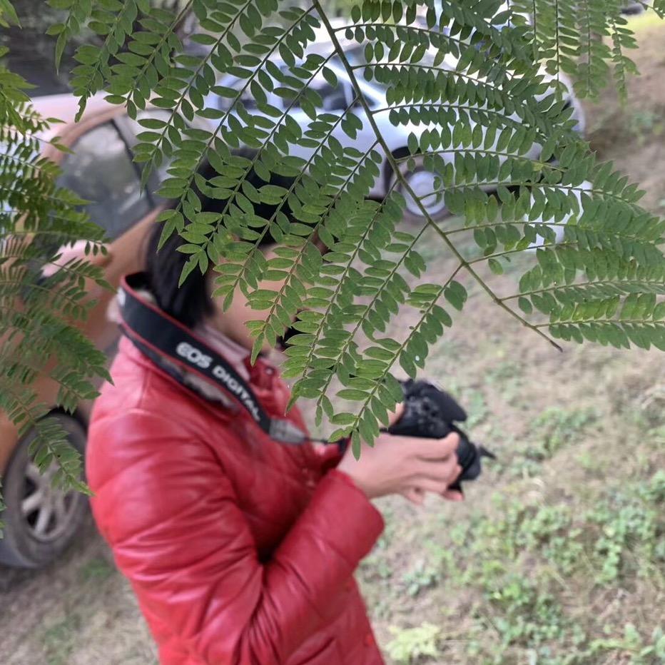 酒妹聊情感