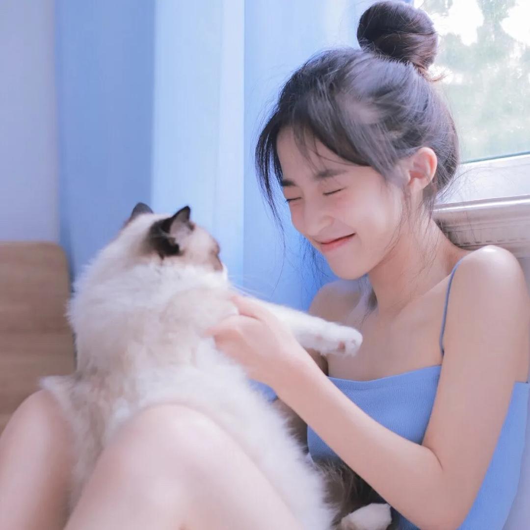齐小七