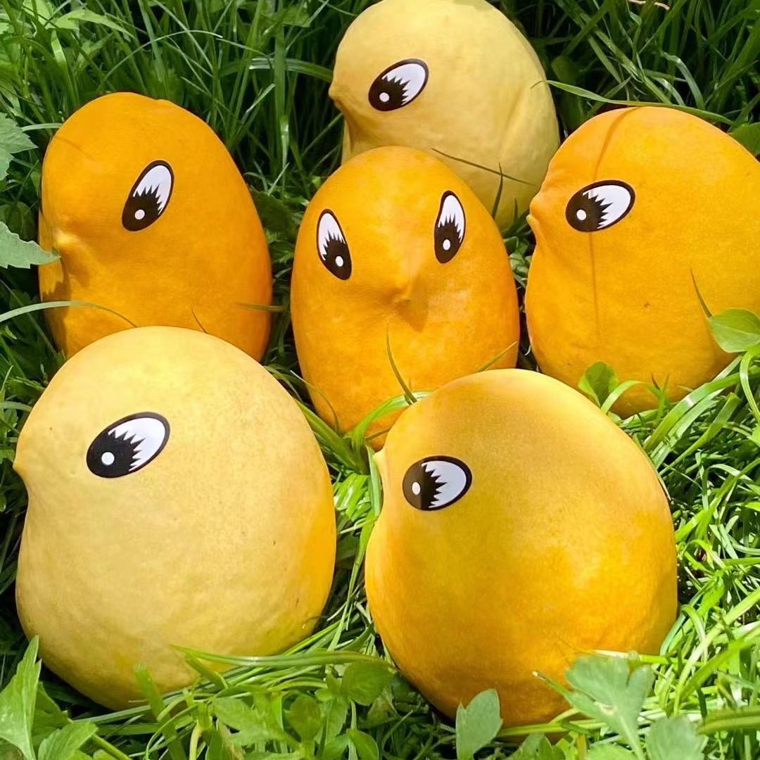 芒.小帥