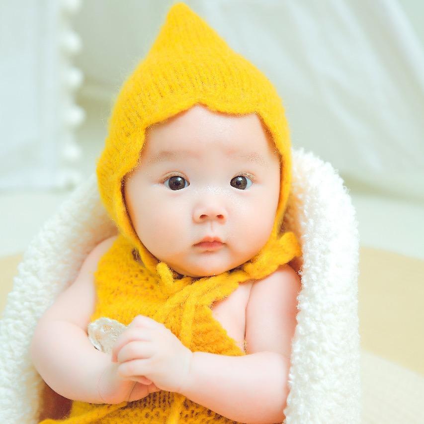 家有两个小苏苏