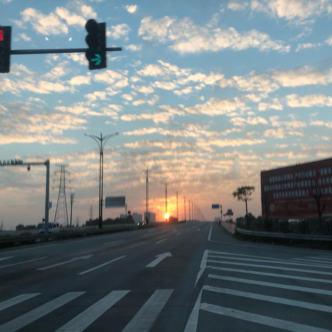 中越农产品交易