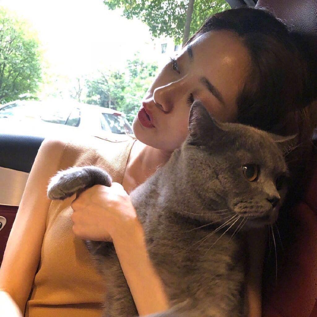 奕可小仙女呀