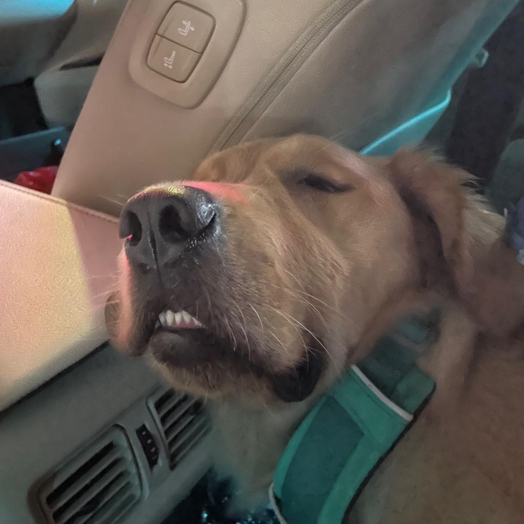 想退休的每一天