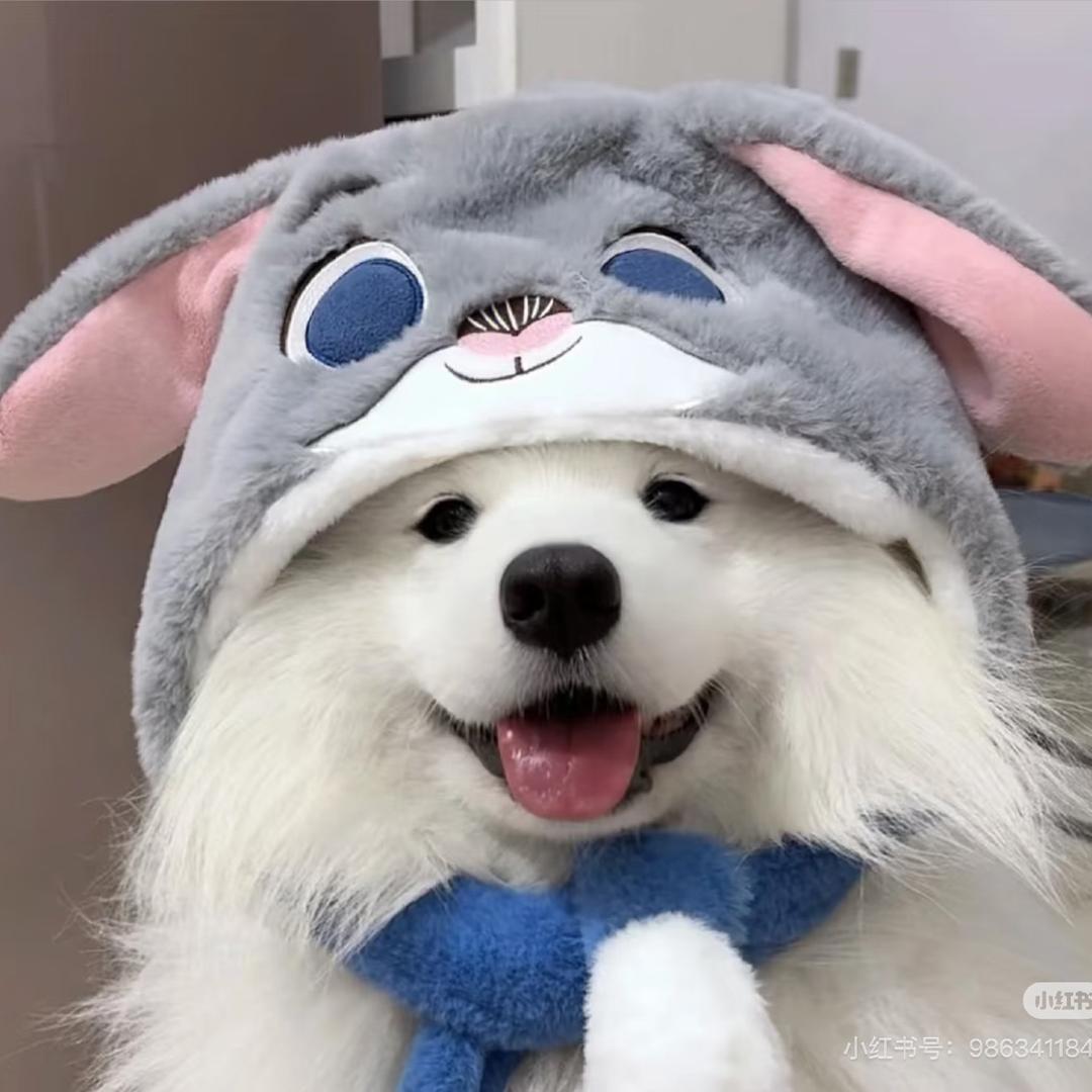 钱多多🦋（装修版）