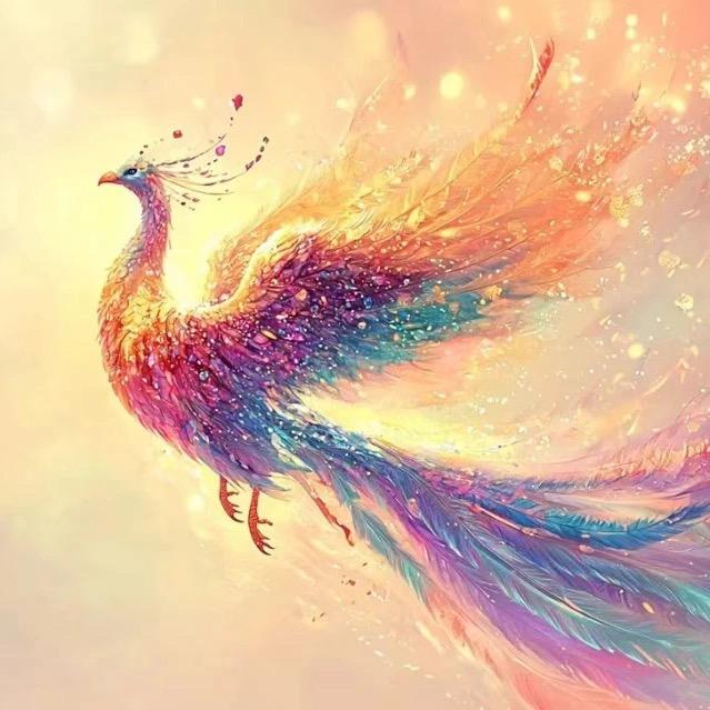 庄彩娇