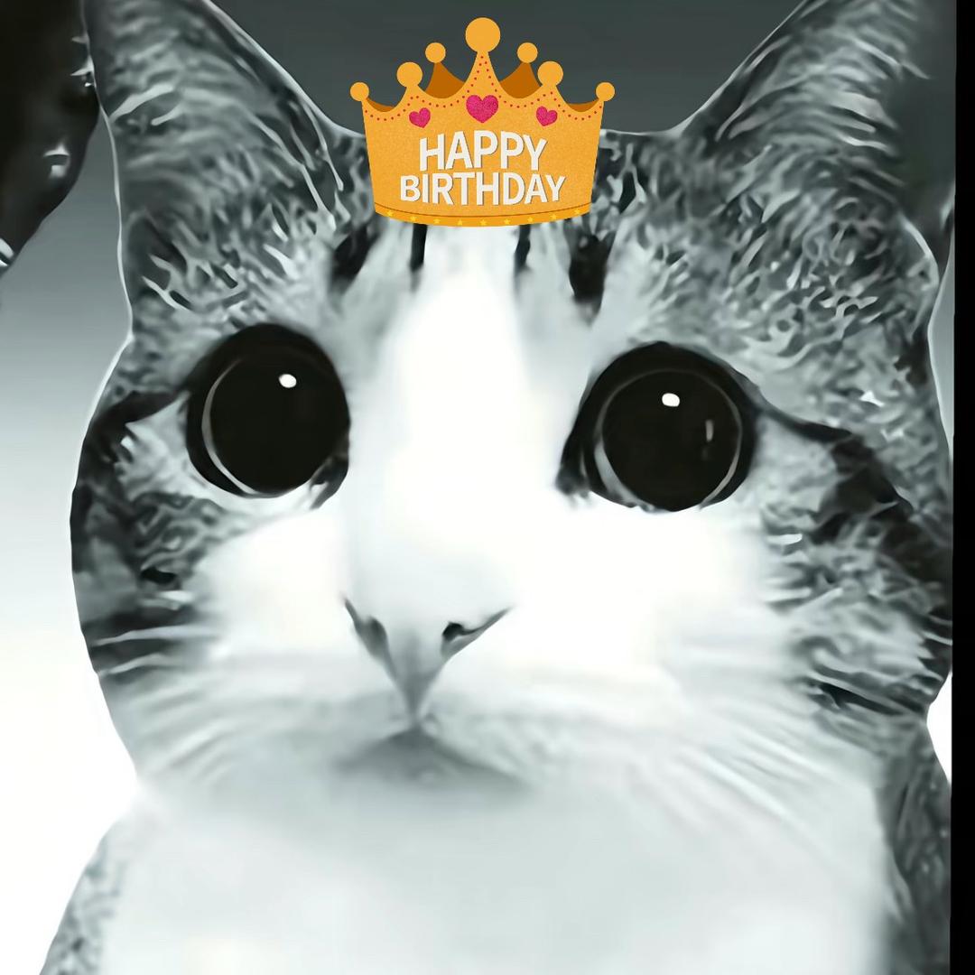 十二月审美积累。