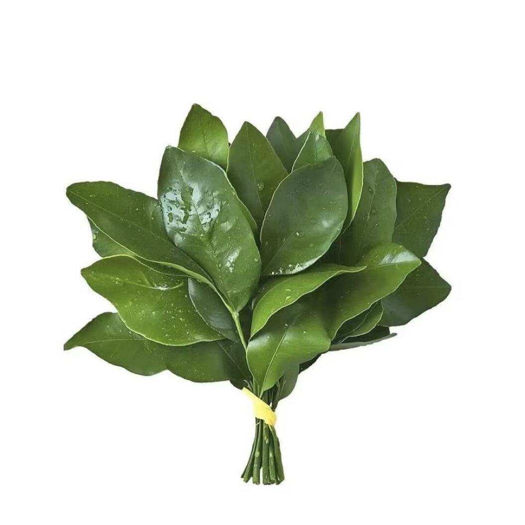 悸露is