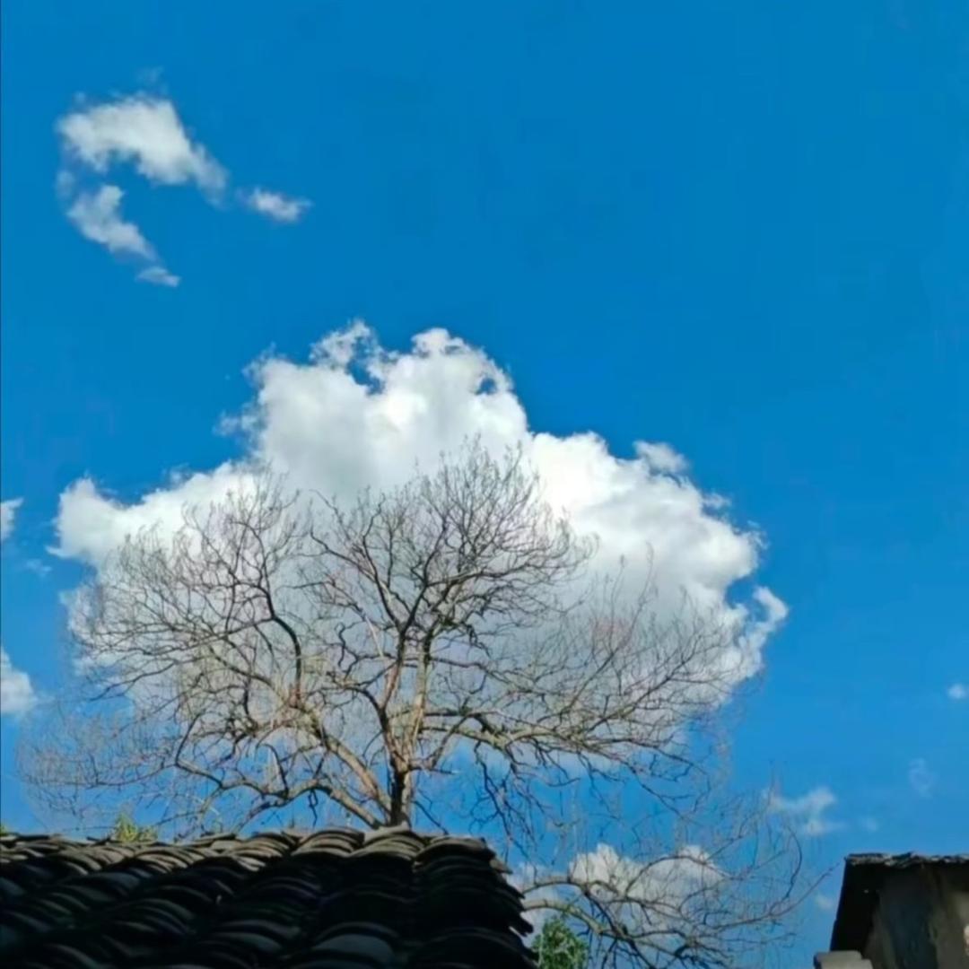 我是，刘小琰吖🐒