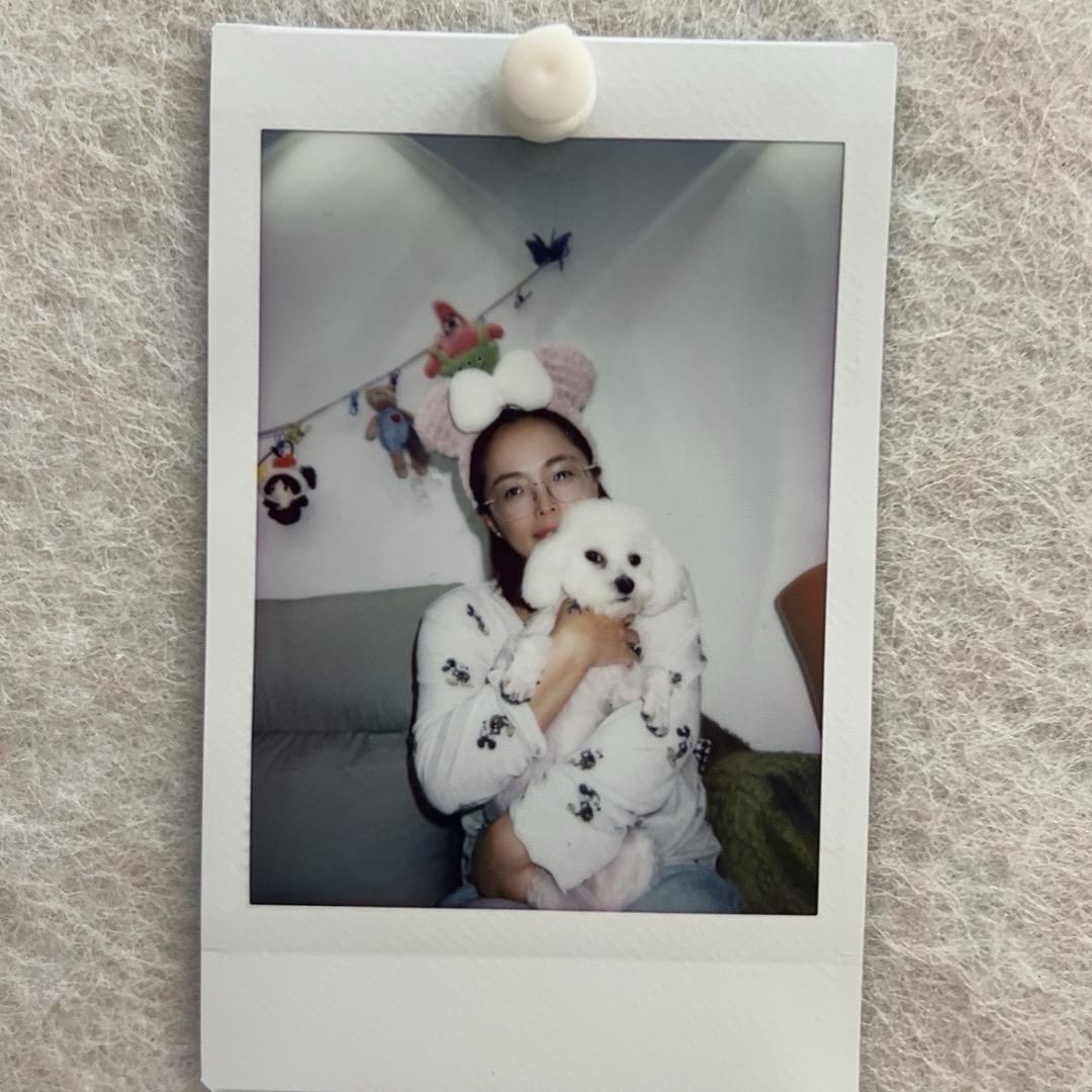 家有萌宠仔仔vs团子