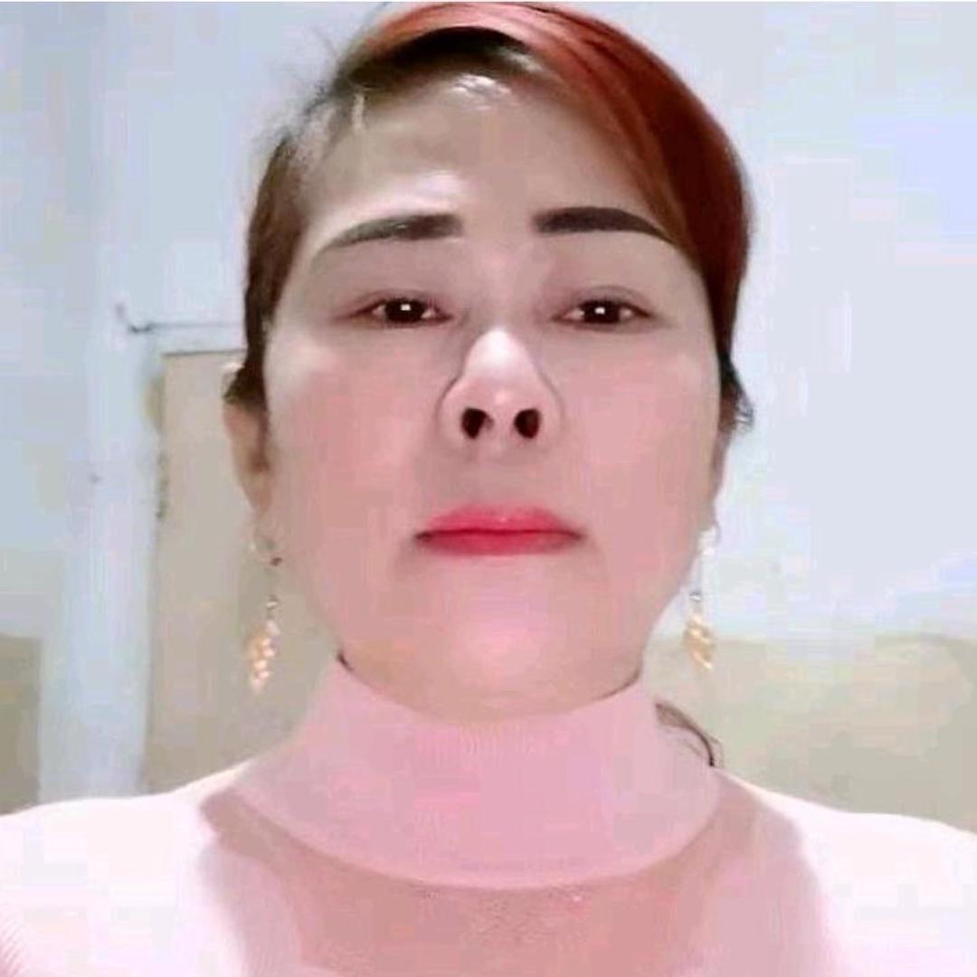 小夜猫